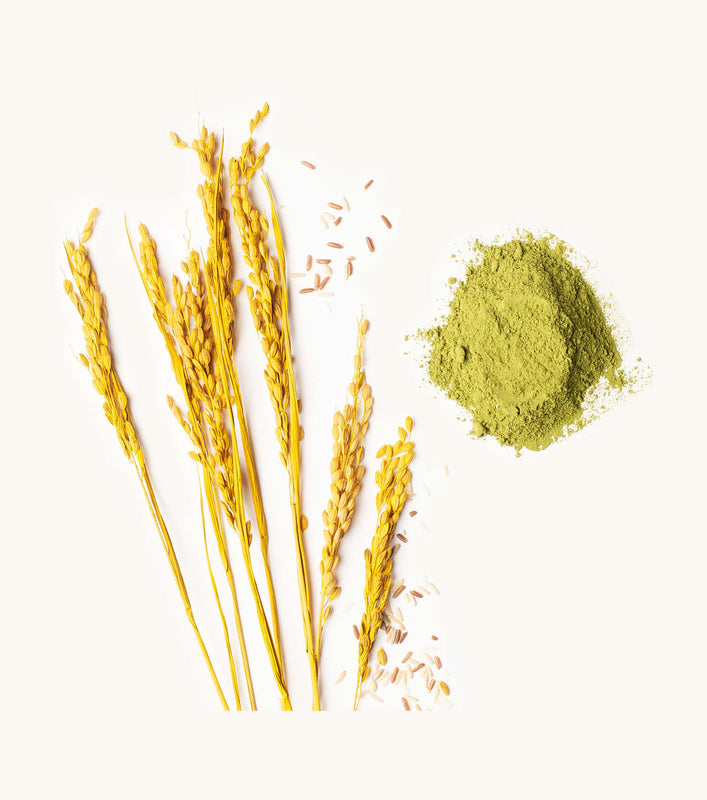 Rice Water & Himalayan Moringa
Superior Strength NYM